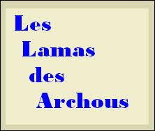 Les
Lamas
des
Archous