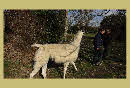 DSC00094.JPG